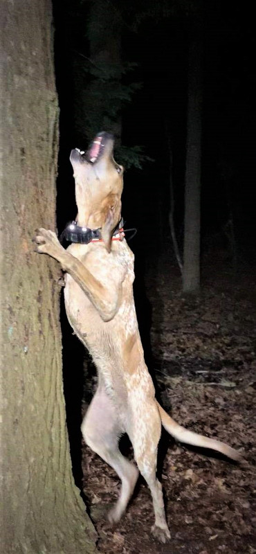 Resized_IMG_4237 (1)