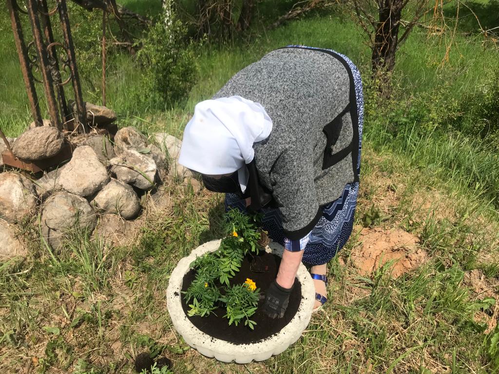 4c920737-97ea-4a29-89fe-b278069dee5b