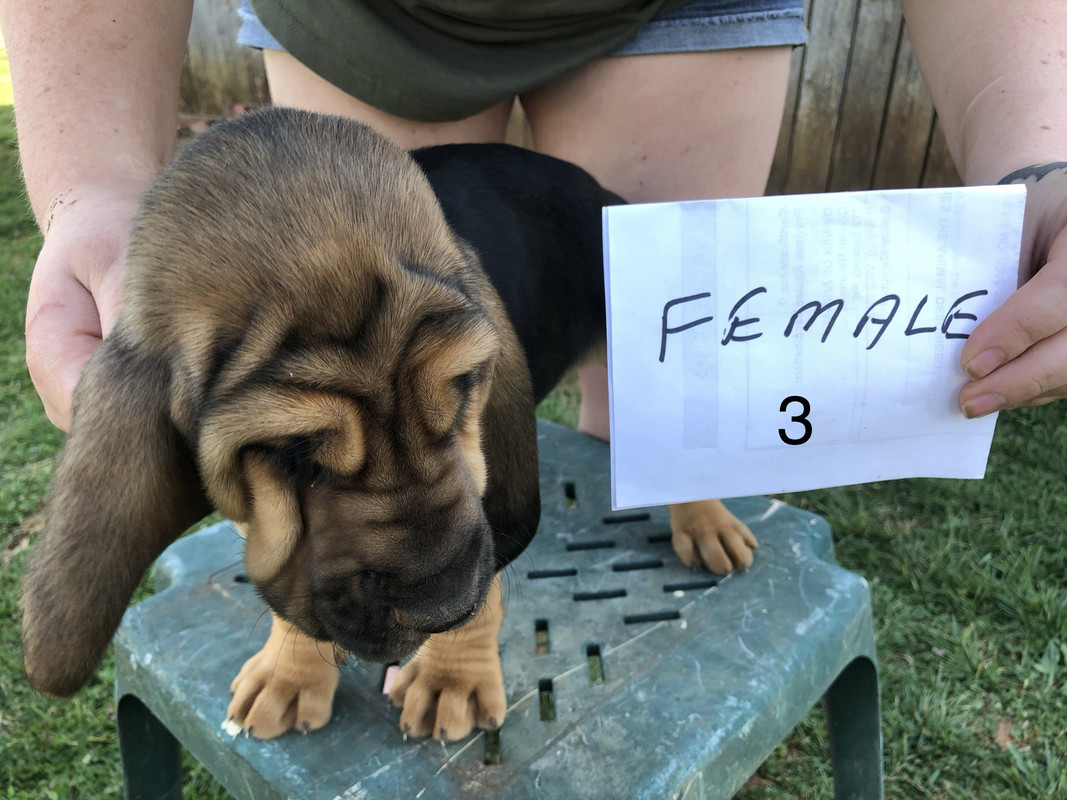 E3236A15-9237-408A-8B97-37DBB77EF526