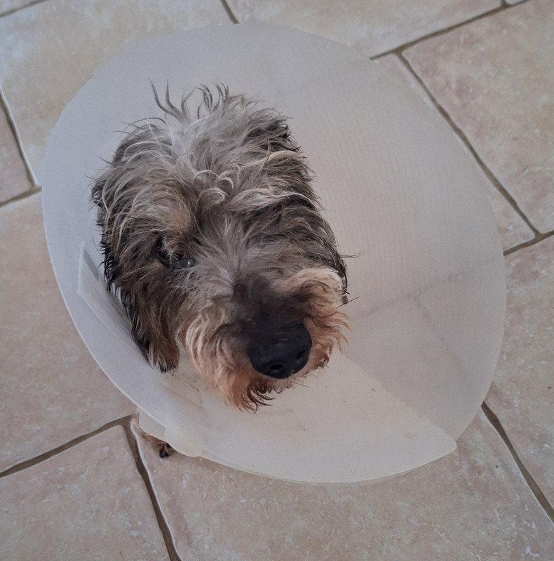 [Image: 20240708-193006.jpg]