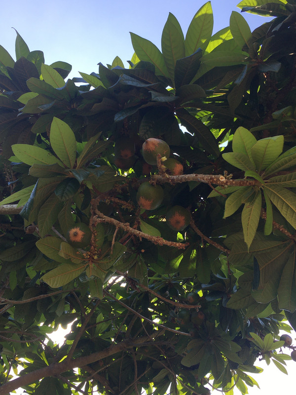 3E22E23D-9499-46C7-95F3-BA2BFB7B7B97