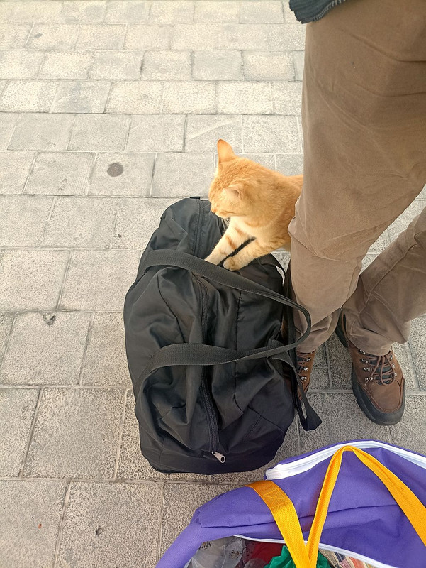 https://i.postimg.cc/VLXLfvSn/IMG-20240303-062619.jpg
