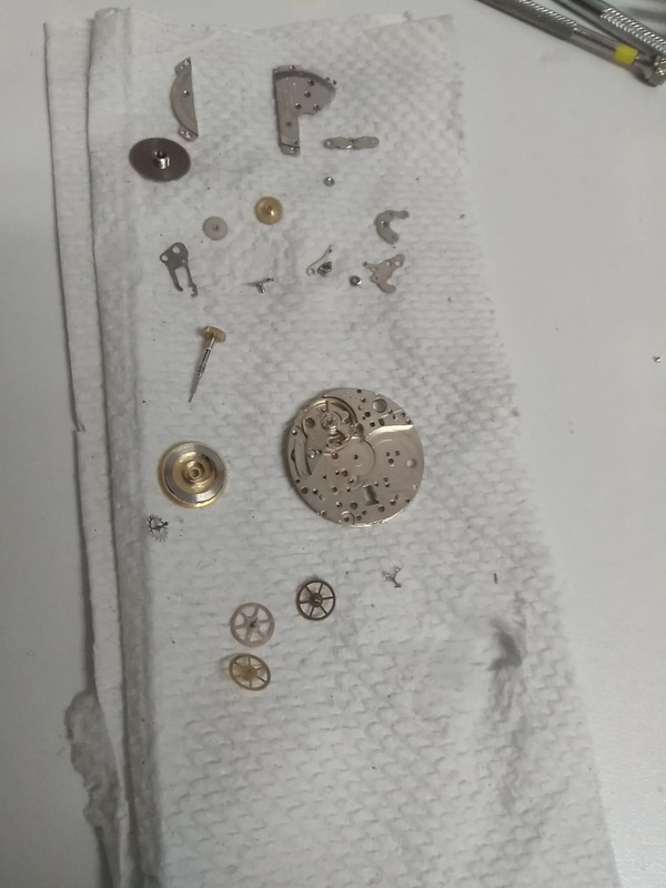 67976088_369388927325586_7174908112539746304_n