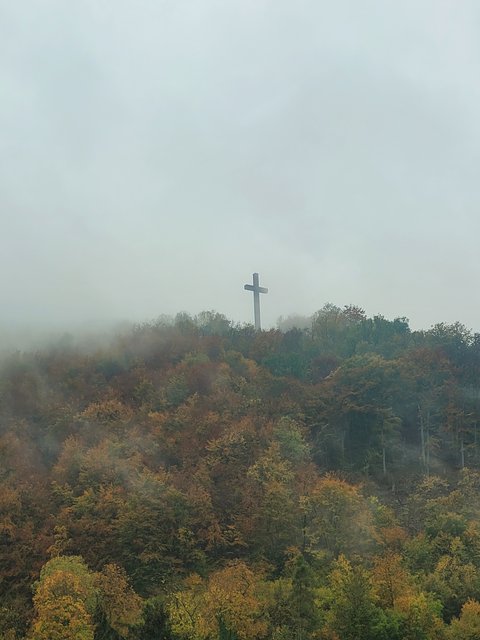 20241022-142916.jpg