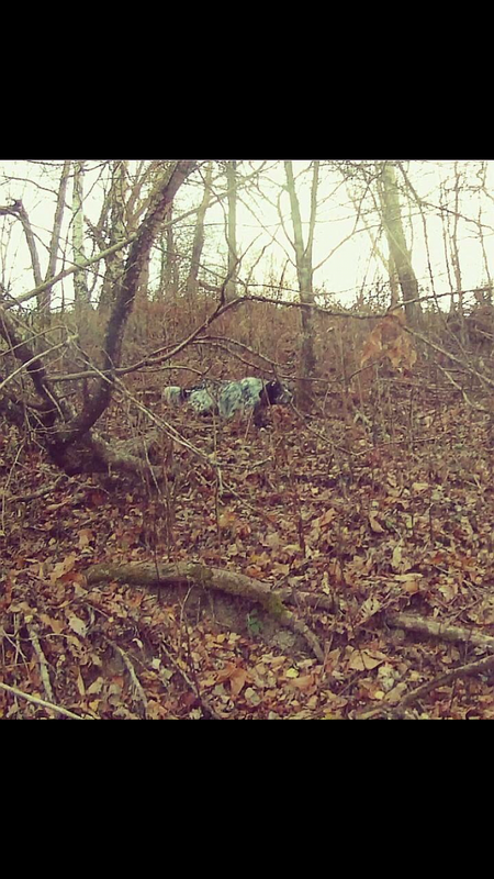 48FAC021-B820-4762-9763-3DE40B8ED226