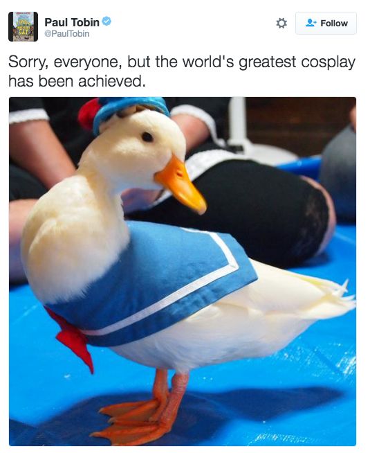 Blueduck.jpg