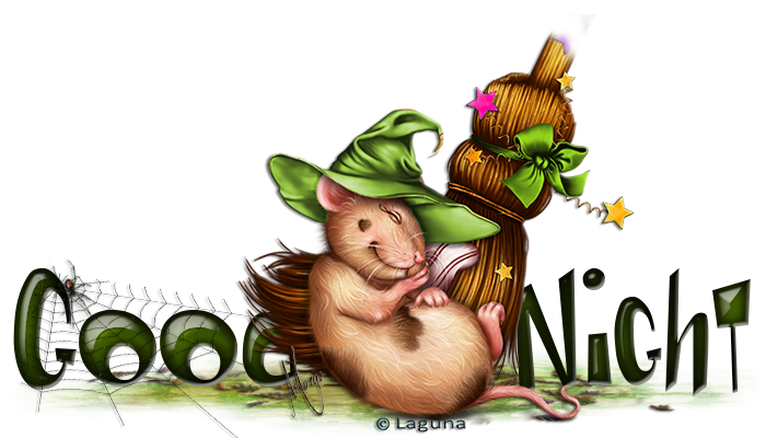 mouse-sleeping-near-the-broom-png13