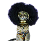 51-C51-D07-B7-CC-4415-AC17-827396873-D08.png