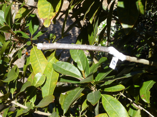 P1050210