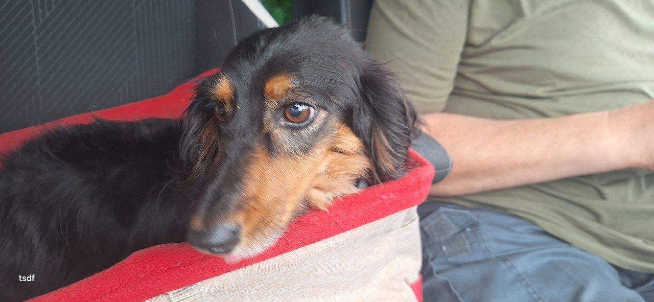 [Image: 20250511-152511.jpg]