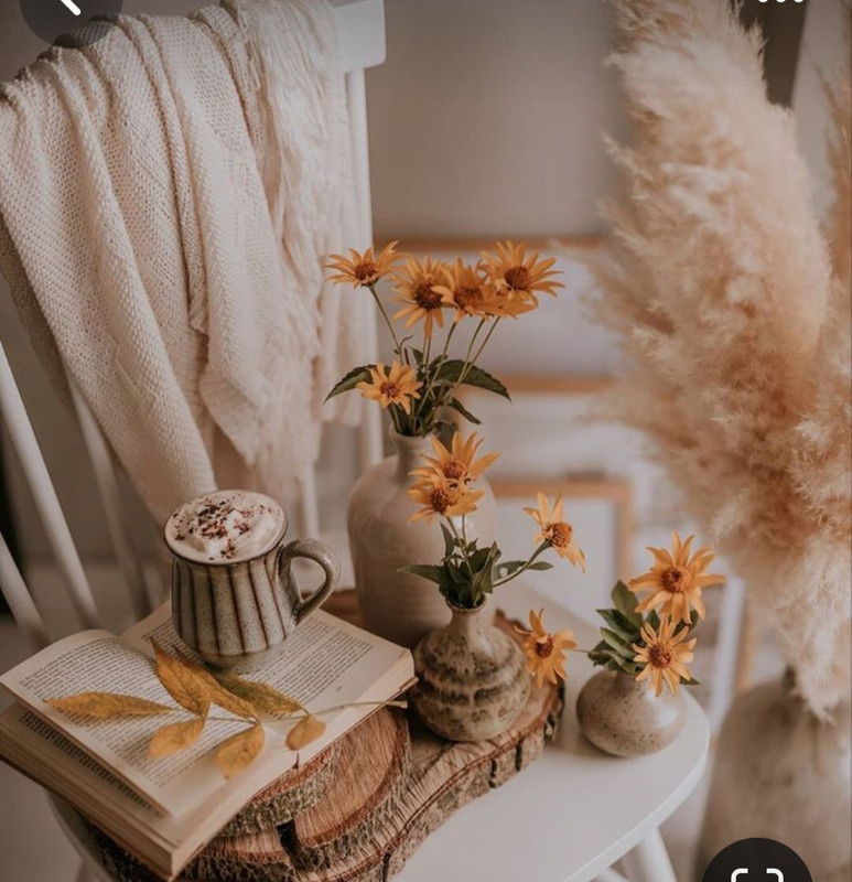 Screenshot_20230913_173813_Pinterest