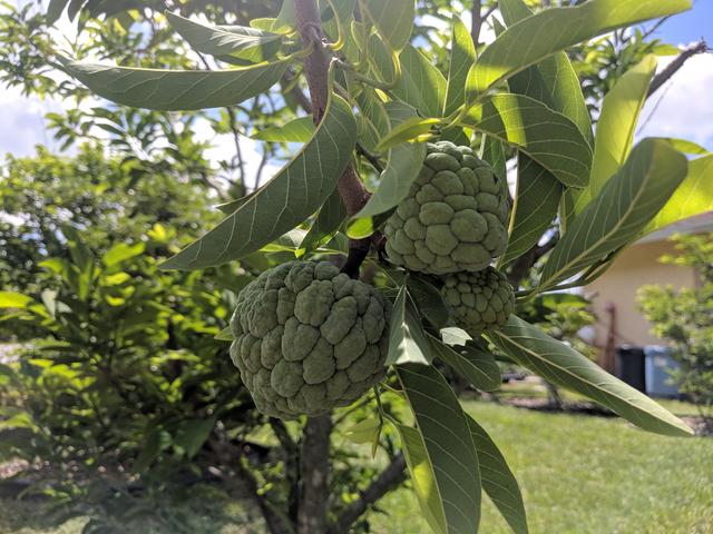 [Image: IMG-20190612-114025.jpg]