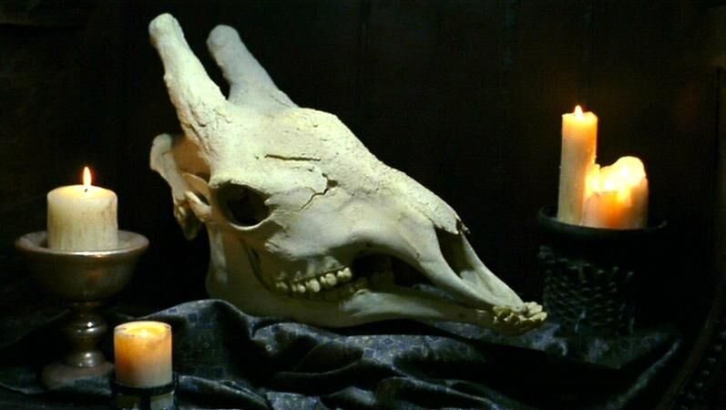 Xindi-Avian.jpg