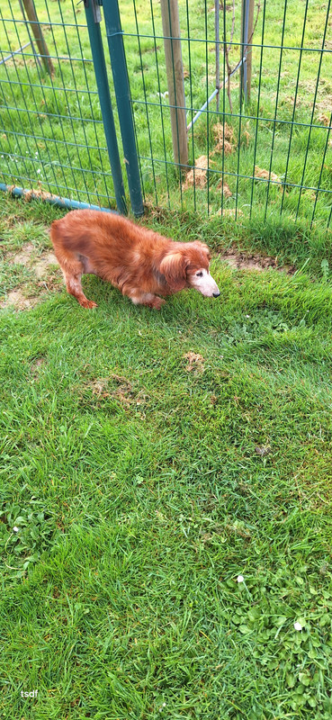 [Image: 20250324-101022.jpg]