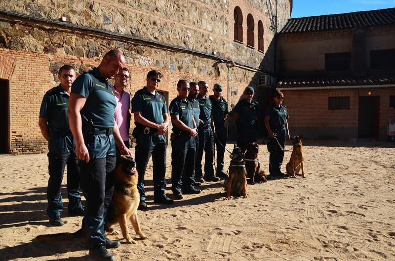 Exhibición Guardia Civil-30-9-2016 - Toledo y sus pueblos-1996/2026 (9)