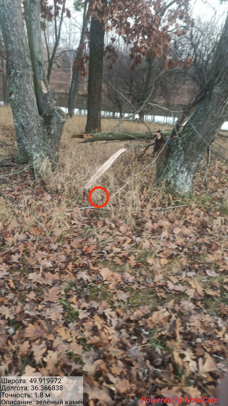 photo 7 2025 11 29 19 18 59