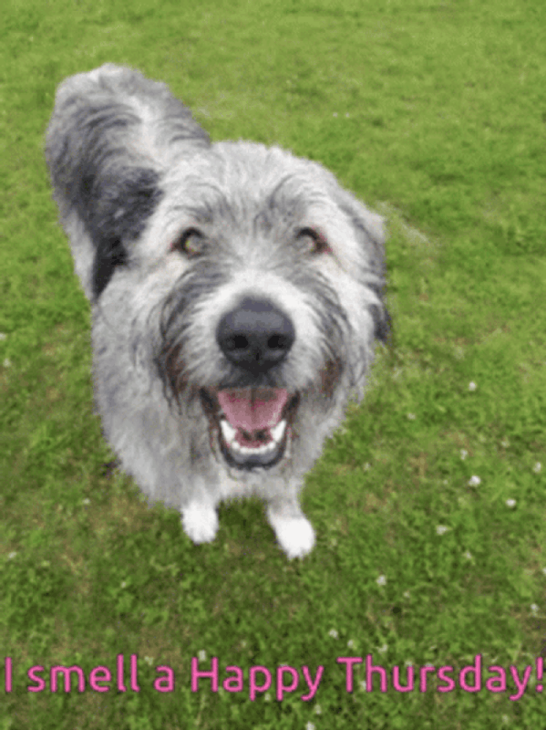 An den Beitrag angehängtes Bild: https://i.postimg.cc/VLZNdkjC/oie-1575439Xg-FL218A.gif