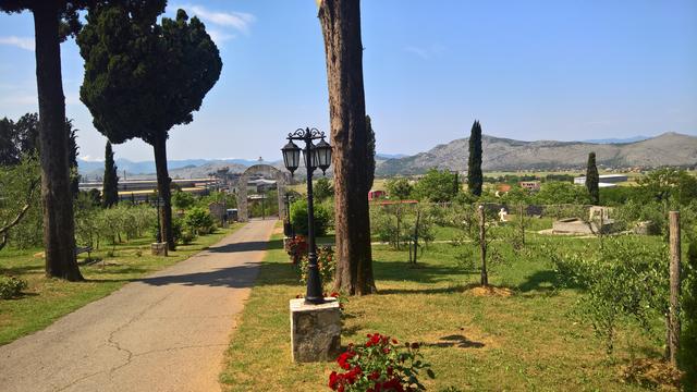 WP_20180506_10_41_57_Rich