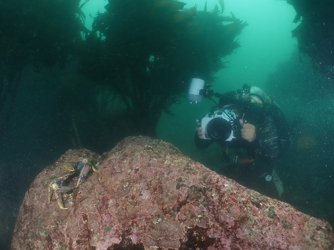 WhatsApp Image 2025-01-03 at 21.59.52 (1)