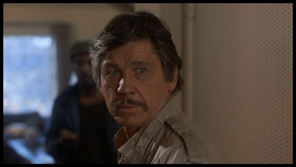 vlcsnap-2024-11-21-14h56m49s448