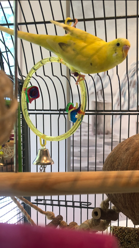 D8AABDC4-F4E1-462E-8399-435CC7296AA7