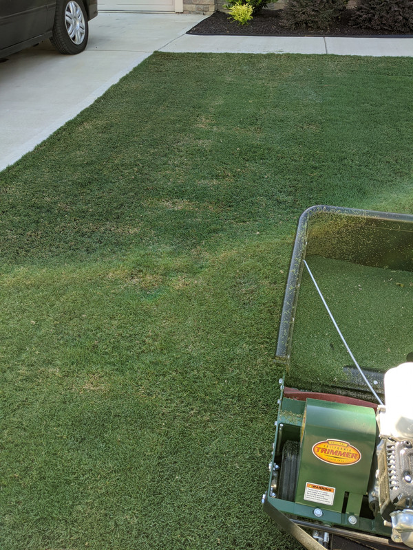 PXL_20200804_205624825.MP