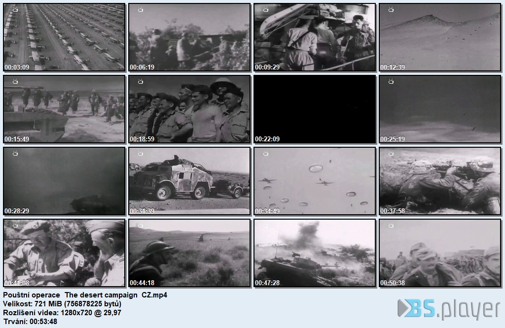 Pouštní operace / The desert campaign / CZ