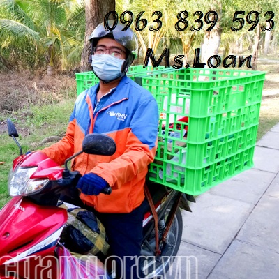 Rổ nhựa giao hàng shipper, sóng nhựa chở hàng sau xe máy / 0963.839.593 Ms.Loan Ro-nhua-8-banh-xe-cho-hang-sau-xe-may