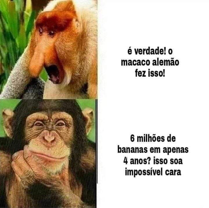 macaco.jpg