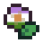 genderqueer