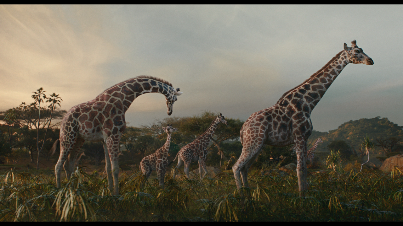 mpv-shot_MUFASA.THE.LION.KING.2024.2160p.UHD.BDRemux.HDR.DV.HEVC-Нечипорук_00_01_14_0001