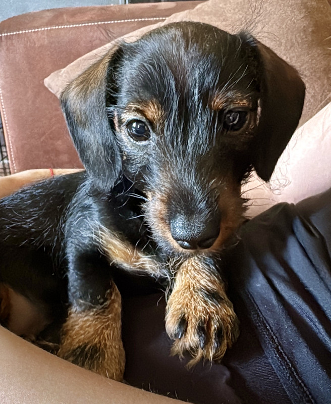 [Image: IMG-1645.jpg]