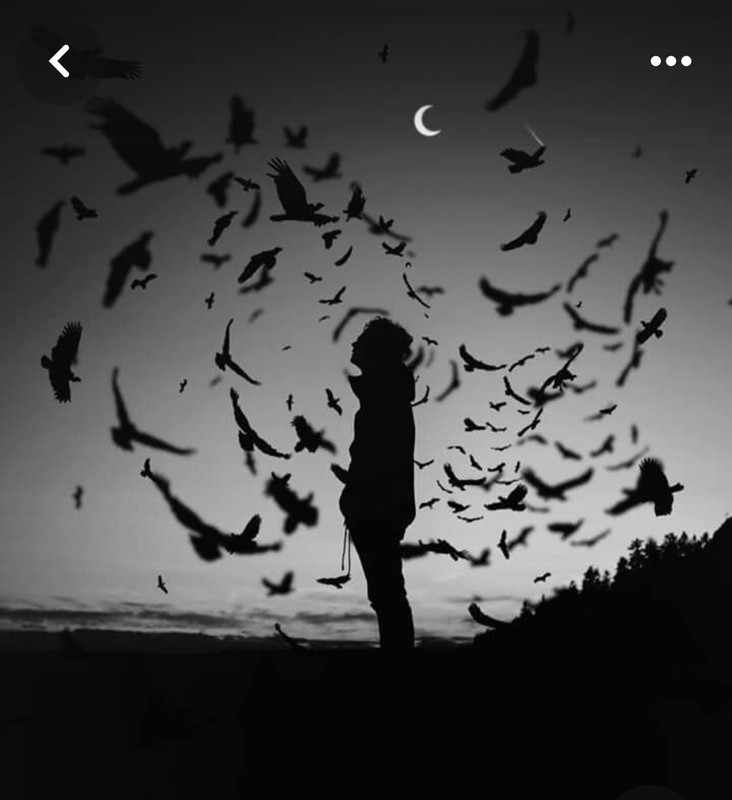 Screenshot_20240330_223210_Pinterest