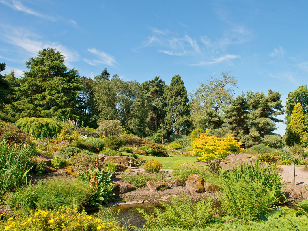 Royal-Botanic-Garden-Edinburgh