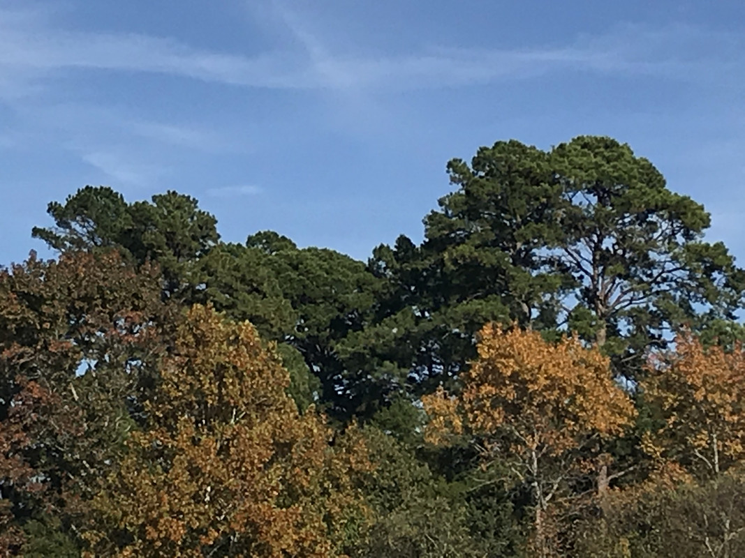 4DDD6985-2346-4E61-9DCA-811E3B27BF64