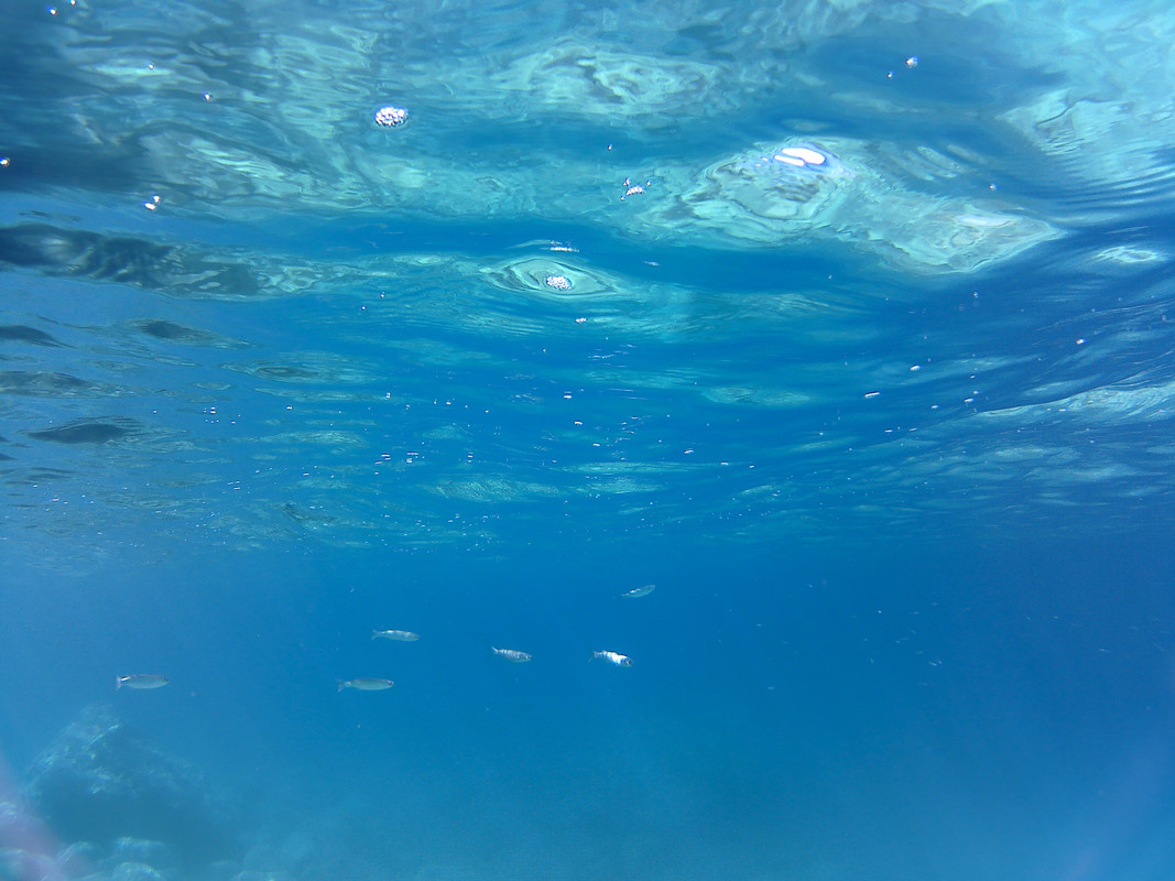 20160718_093830A