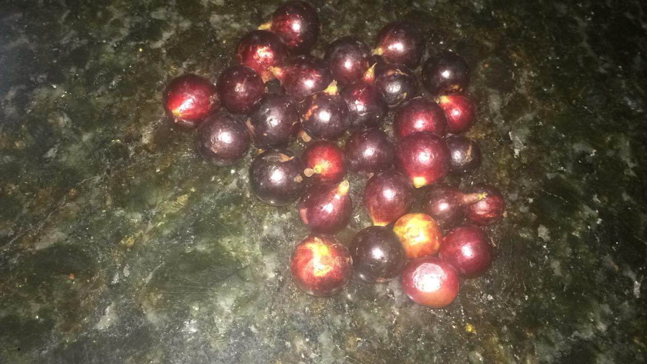 WhatsApp Image 2020-12-20 at 00.58.58 (3)