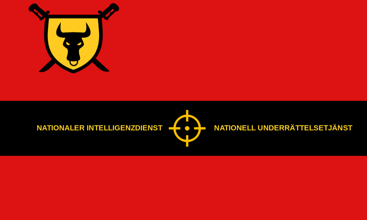 Drapeau du Service de Renseignement National