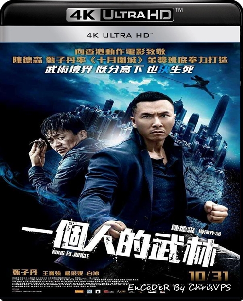 Morderca Mistrzów / Kung Fu Jungle / Yi Ge Ren De Wu Lin (2014) MULTI.HDR.UP.AI.2160p.BluRay.DTS.HD.MA.AC3-ChrisVPS / LEKTOR i NAPISY