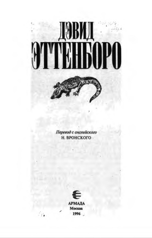 p0006