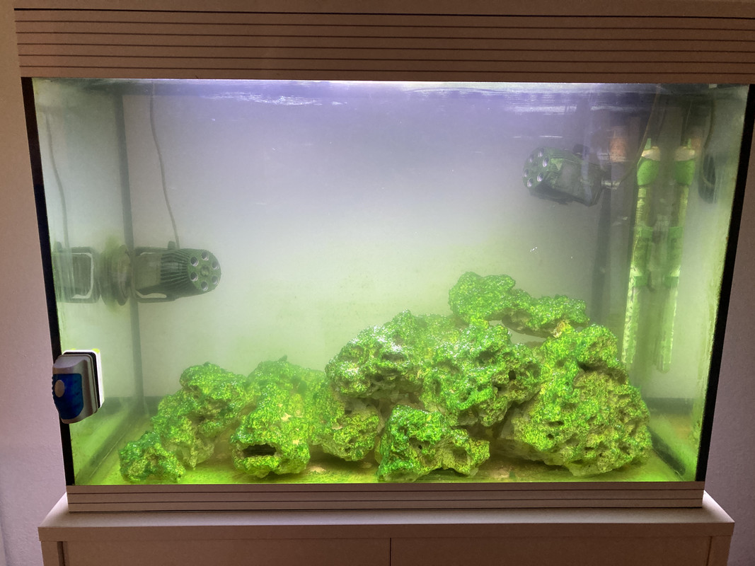 A5564709-CD0B-4F75-BAFE-D4A72E2470C1