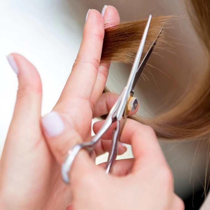 The hairdresser cuts the ends of the hair with scissors