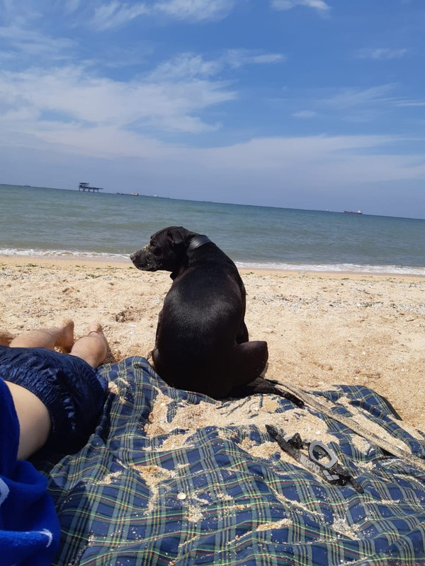 F6AEF2FC-A487-48EA-BE33-802D48659F67