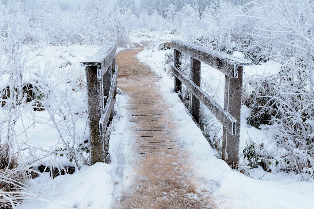 white-winter-bridge.jpg