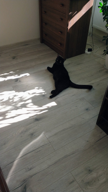 IMG 20260314 100641710 2