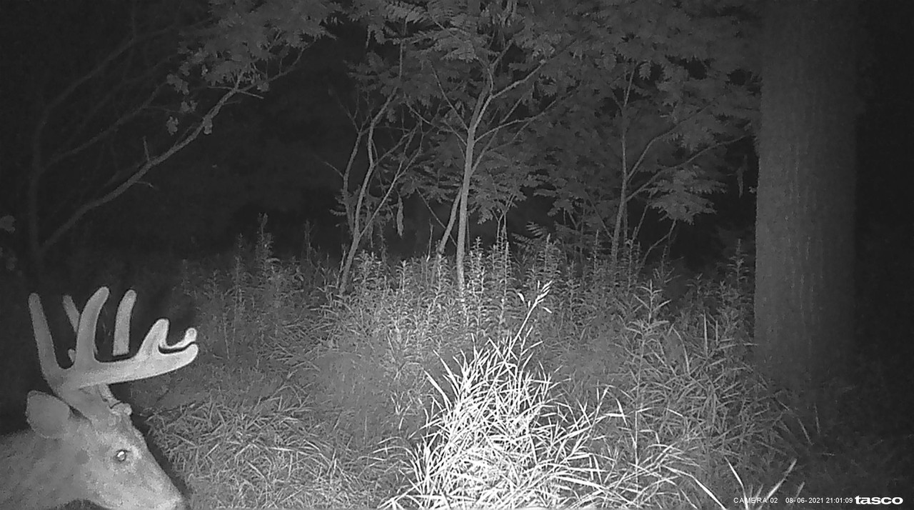 BCE8B1AA-BC8C-495F-9829-757B719528B7