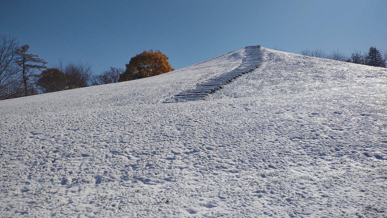 IMG 20251110 113446853