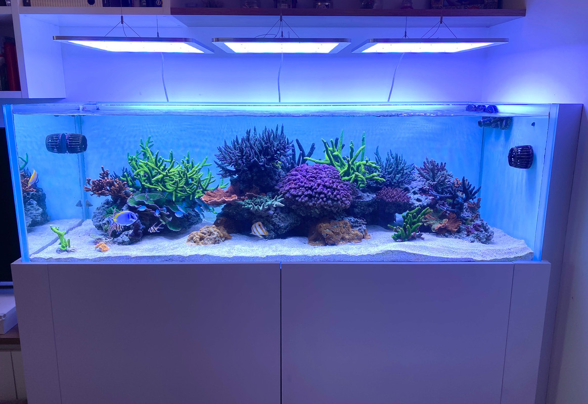 2673B7BB-1A14-40DF-A963-EEB30FA3B088