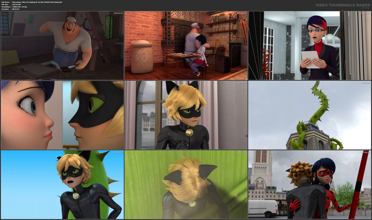 Miraculous Tales of Ladybug & Cat Noir S03E02 Weredad.mkv