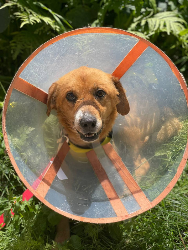 79B45FE9-E47C-40EA-B72A-AF03A936F6B5